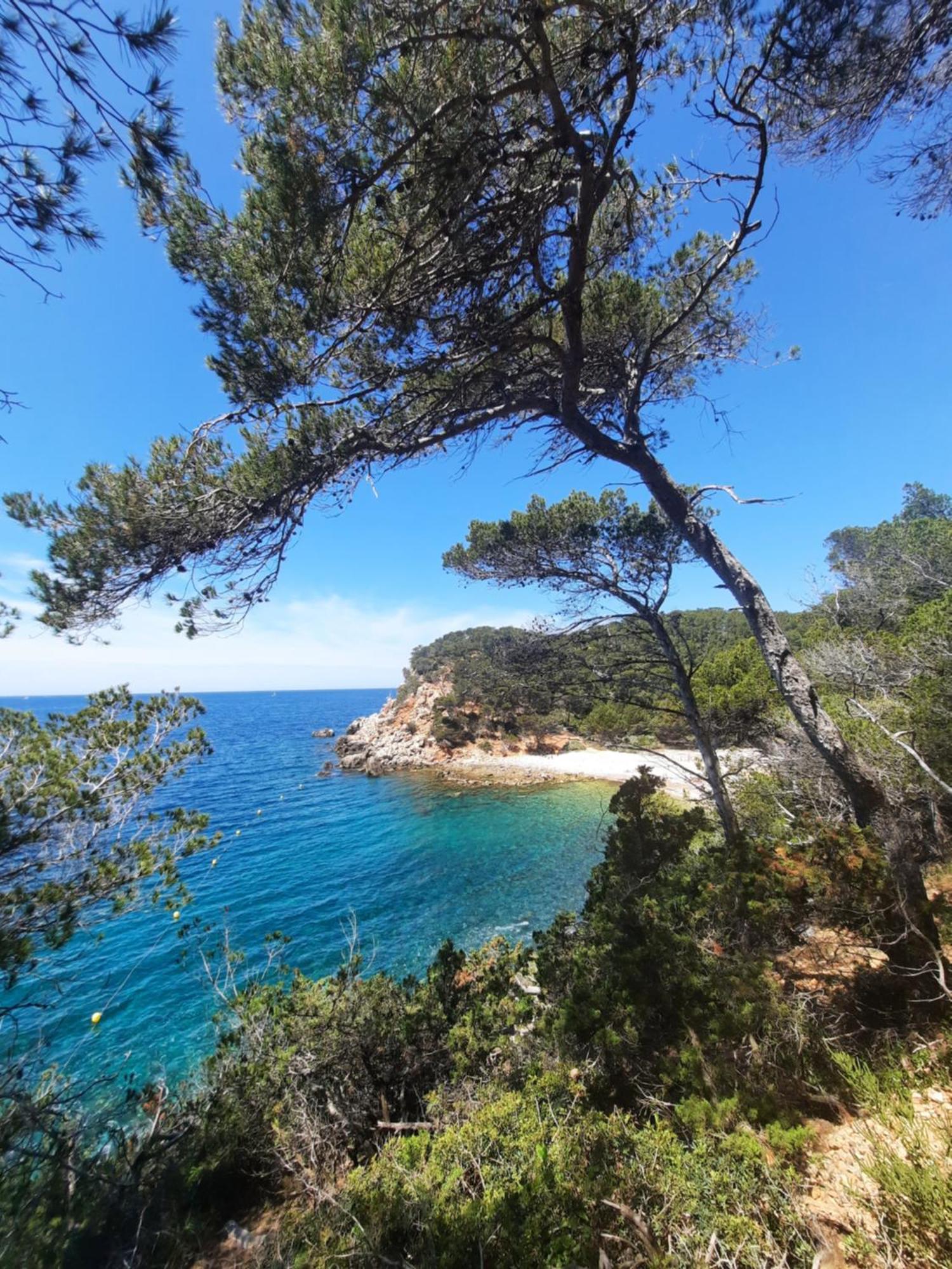 Maison Independante Avec Piscine Privative Pres De La Mer La Garde  Buitenkant foto